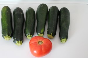 My garden Zucchini!