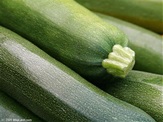 Zucchini