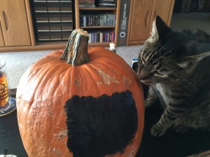 Bernie's pumpkin 2015