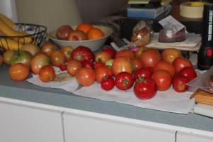 My garden tomatoes