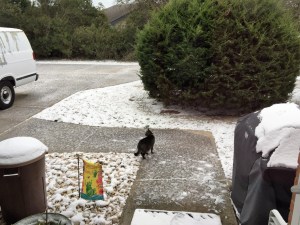 Snow Day for Bernie!