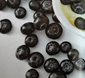 Lemon yogurt & Blueberries