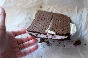 Frozen Yogurt Sandwiches