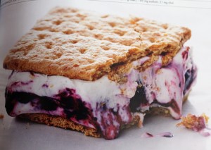 Blueberry Ice Cream Sandwiches