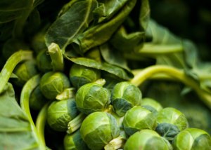 Brussels Sprouts